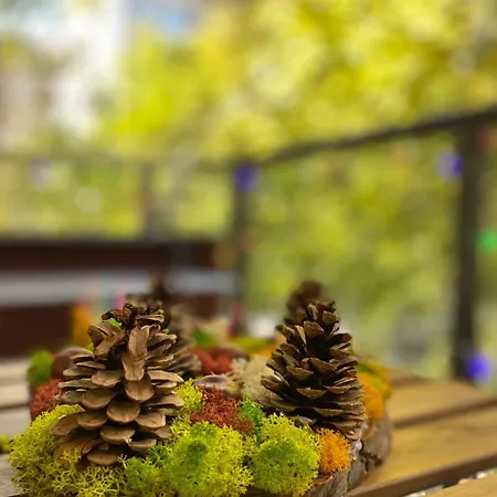 Guest Kristi Apartament Stara Zagora